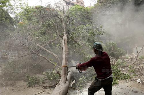 تصوير ابراهيم عزت